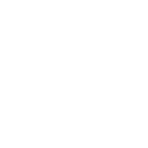 icon gift