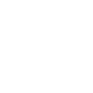 icon rocket